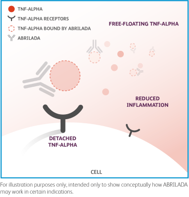 Illustration of how ABRILADA™ (adalimumab-afzb) may work in certain indications.