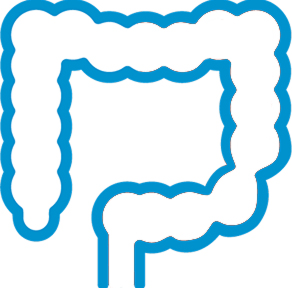 Icon of intestines showing irritation or swelling in the lower parts. Please refer to list of full indications.