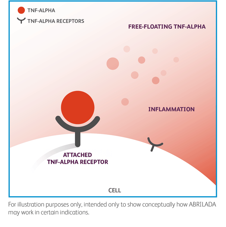 Illustration of how ABRILADA™ (adalimumab-afzb) may work in certain indications.