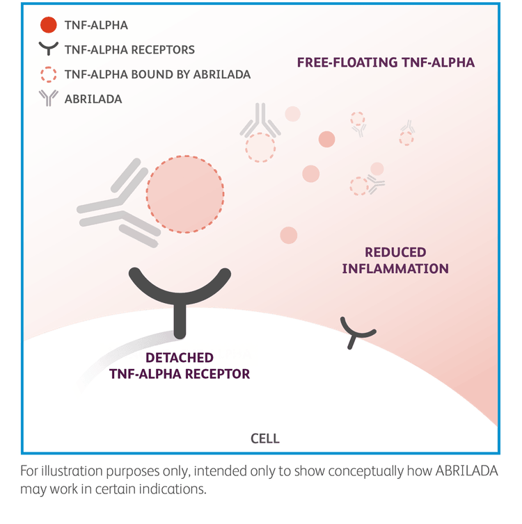 Illustration of how ABRILADA™ (adalimumab-afzb) may work in certain indications.